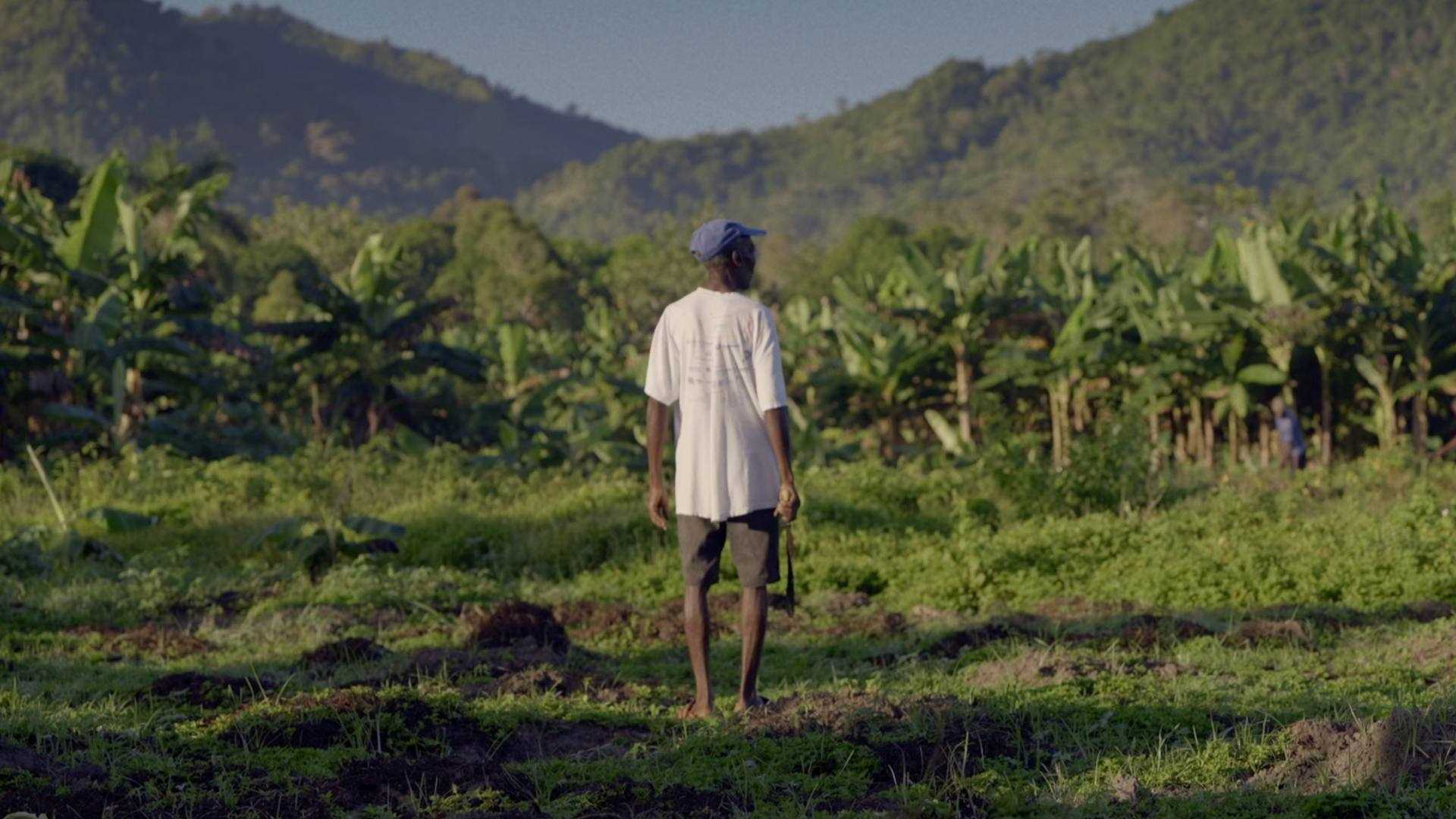 Pôster do filme